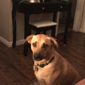 Meet your Posher, Jess